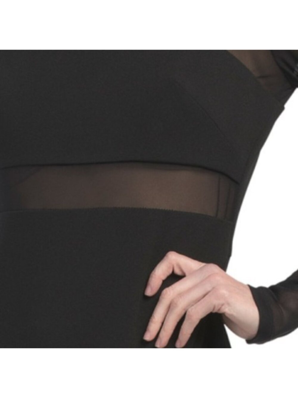 ADRIANNA BY ADRIANNA PAPELL Long Sleeve Mesh Gown With Slit - Picture 3 of 4
